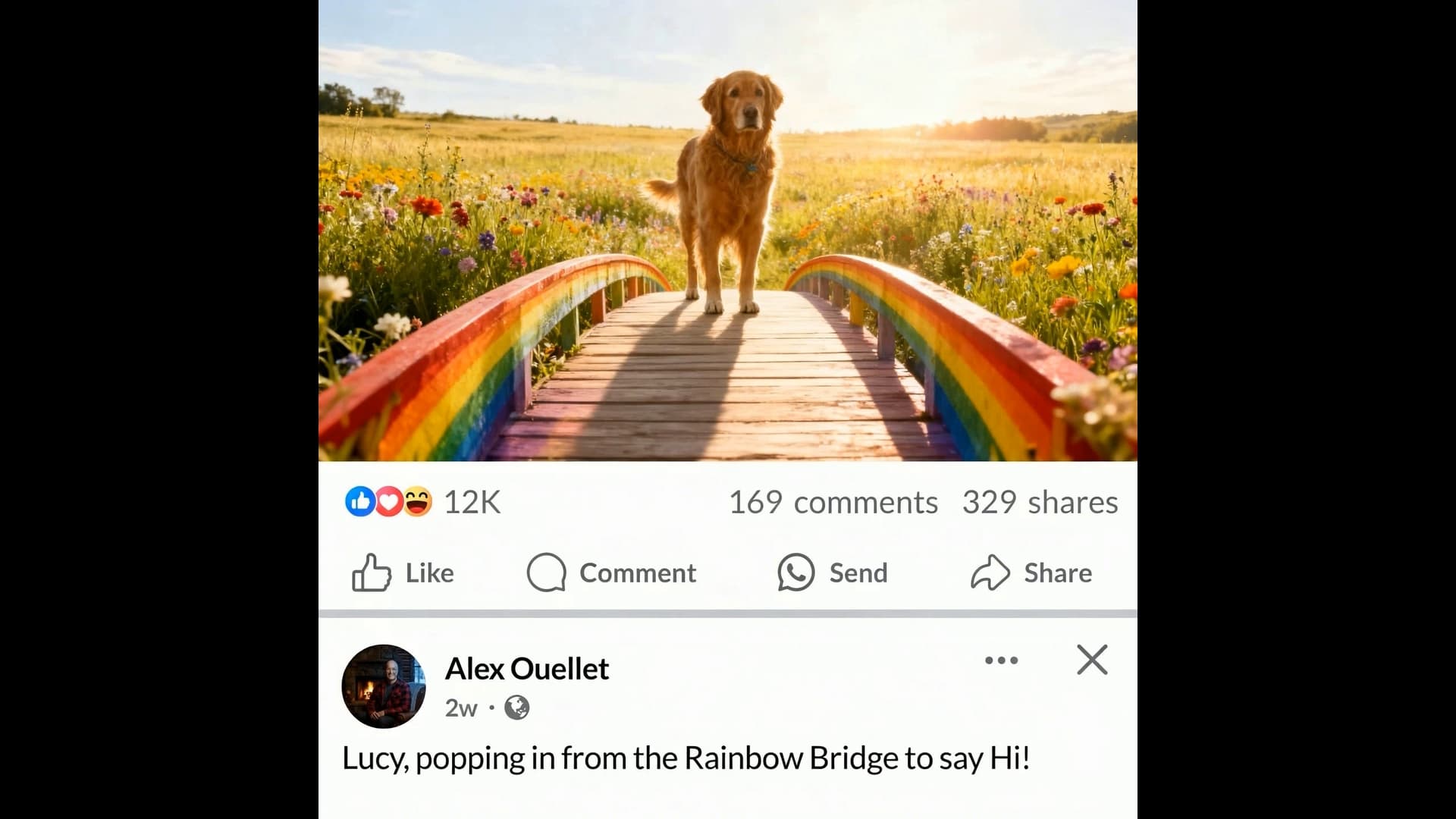 Pet memorial video example