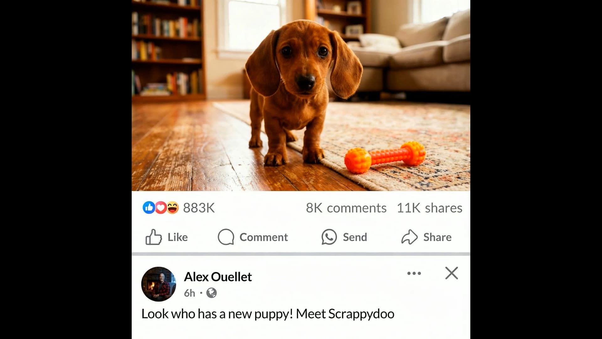 New pet welcome video example